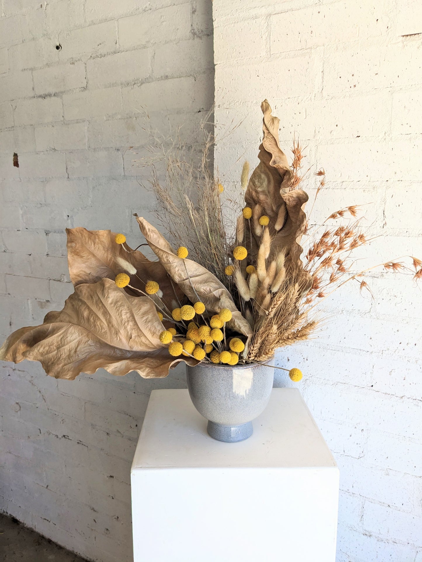 Everlasting Arrangement- Dried Large leaf